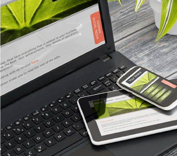 Web Designer