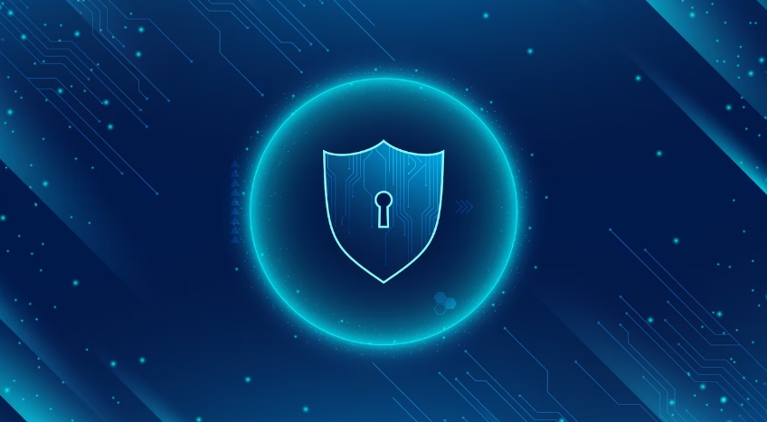 Customer Privacy and Security
